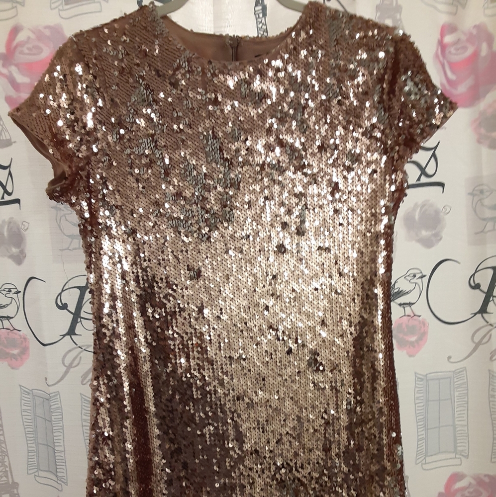 Sold¡¡¡!!!Forever 21 Pink Sequin dress - Picture 3 of 5